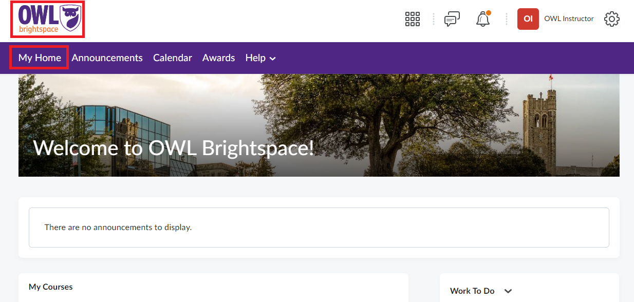 OWL Brightspace homepage showing the purple navigation bar with the ‘My Home’ link highlighted in red.
