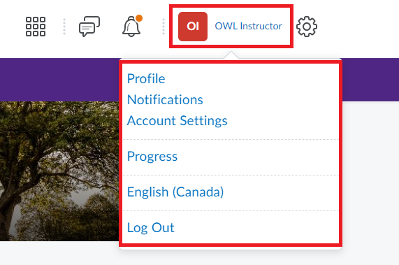OWL Brightspace top navigation bar with the user profile icon and dropdown menu highlighted in red, showing options like Profile, Notifications, Account Settings, Progress, Language, and Log Out.