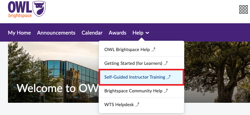 OWL Brightspace homepage with the Help menu expanded and the ‘Self-Guided Instructor Training’ option highlighted in red.