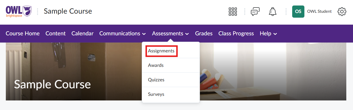 Screenshot of the ‘Assessment’ menu on Owl Brightspace, with ‘Assignment’ highlighted.